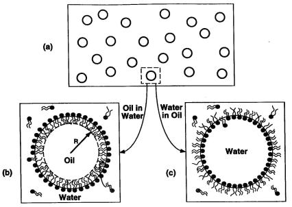 Colloid & Surface Phenomena